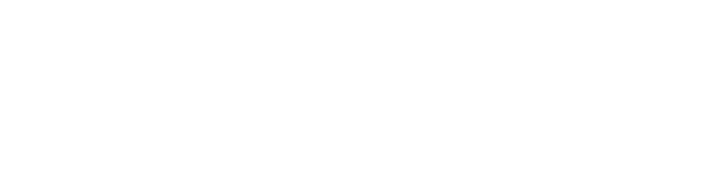 vitalink-white-logo